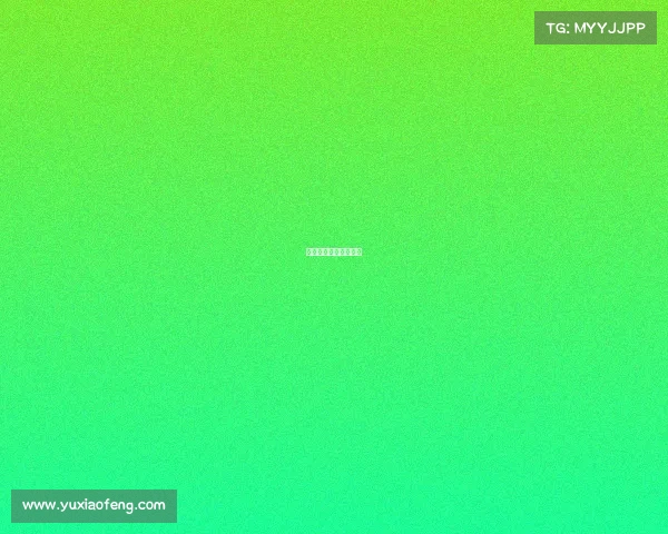 各国篮球联赛开赛时间