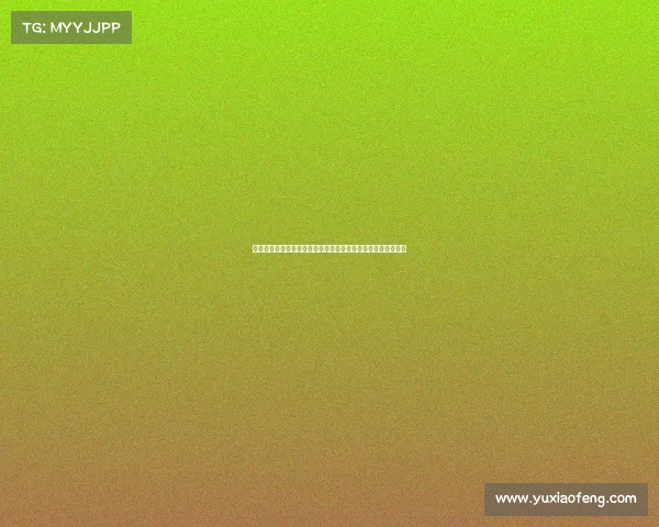 沈阳大型运动赛事荟萃展示东北体育强市风采引领健康生活方式