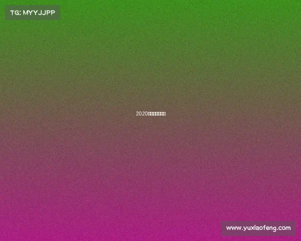 2020年女排重要赛事